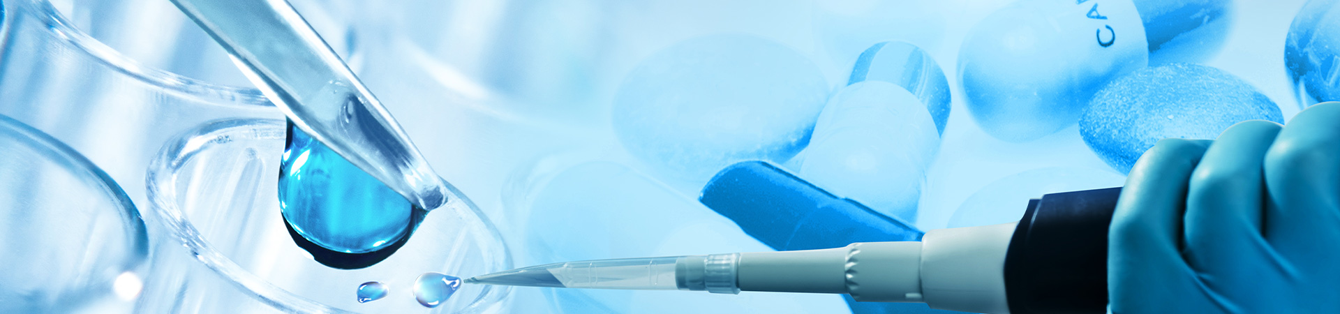 Võtke meiega ühendust